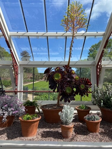 Wintergartenreinigung